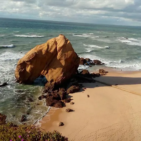 Σπίτι διακοπών Santa Cruz Beach